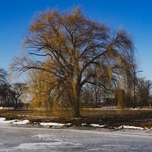 Meet your Posher, Arthur